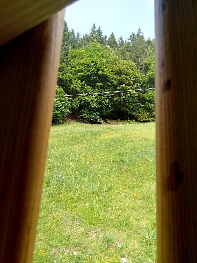Telve B&B Pra' Dei Cervi المظهر الخارجي الصورة